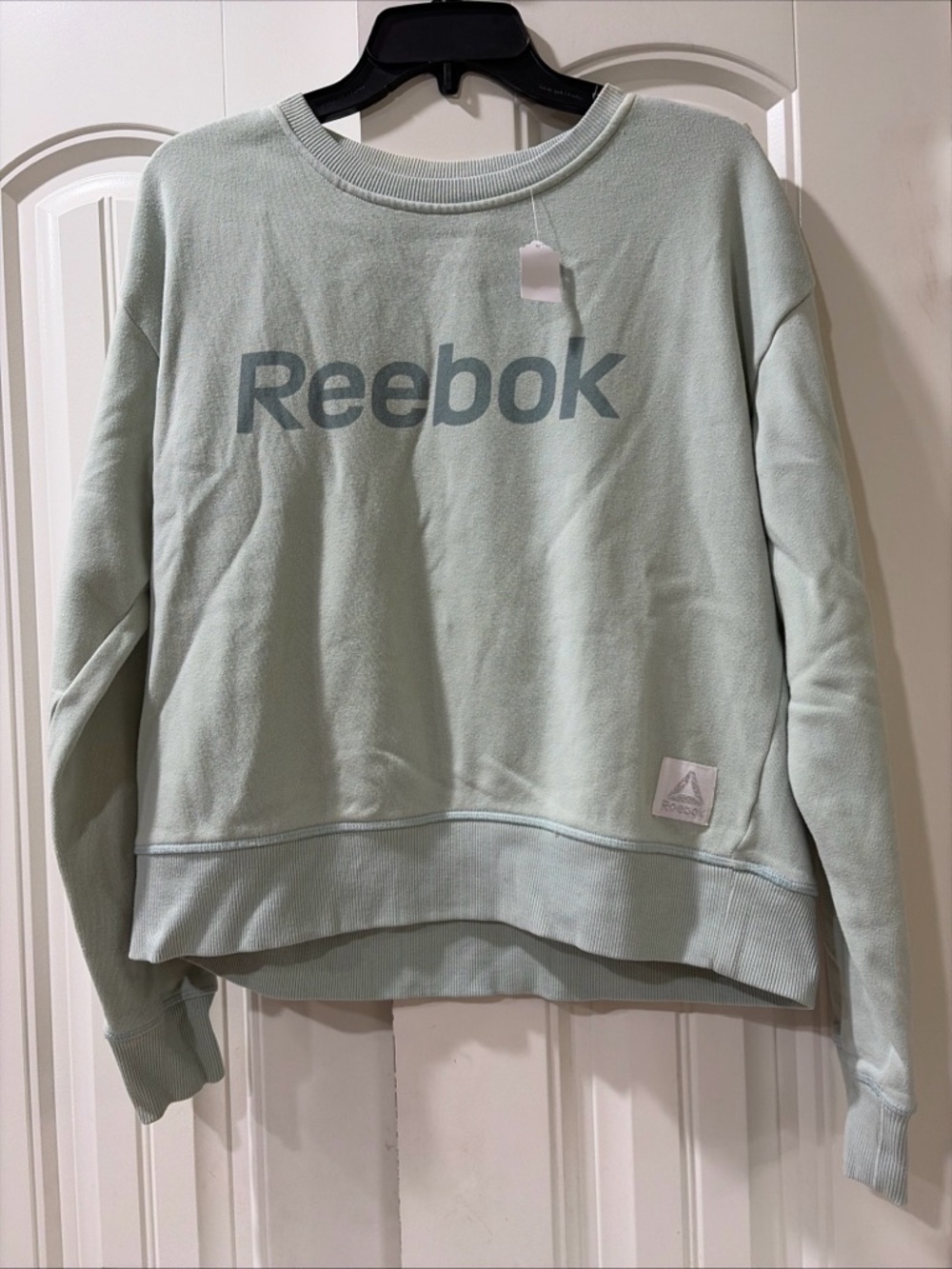 Reebok Pale Mint Crewneck Sweatshirt with Logo